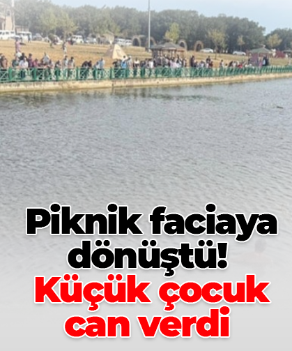 Piknik faciaya dönüştü!  Küçük çocuk can verdi