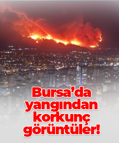 Bursa’da yangından korkunç görüntüler!