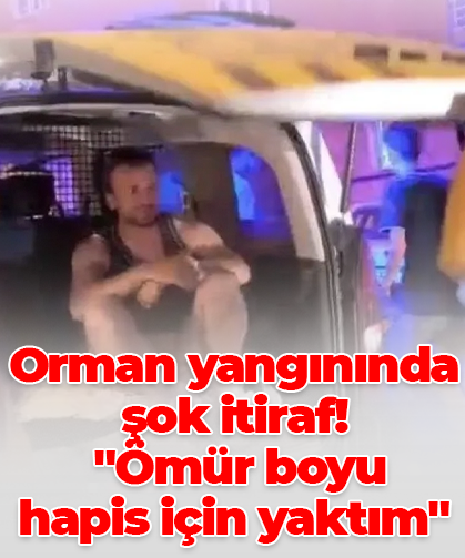 Orman yangınında şok itiraf!  "Ömür boyu  hapis için yaktım"
