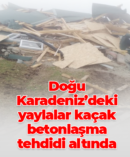 Doğu Karadeniz’deki yaylalar kaçak betonlaşma tehdidi altında