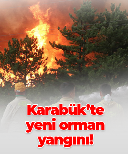 Karabük’te yeni orman yangını