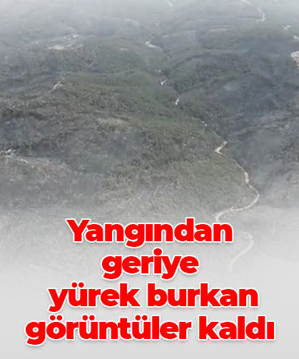 Yangından  geriye  yürek burkan  görüntüler kaldı