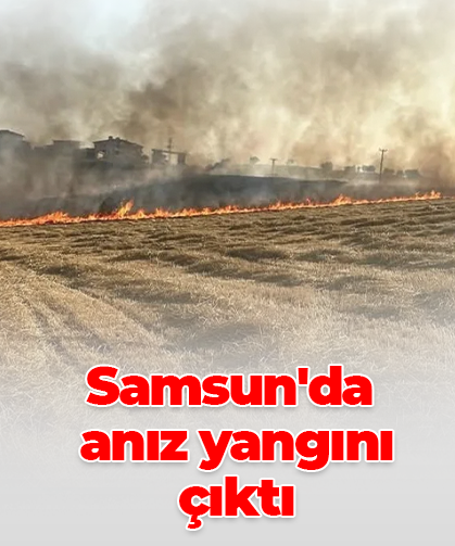 Samsun'da  anız yangını  çıktı