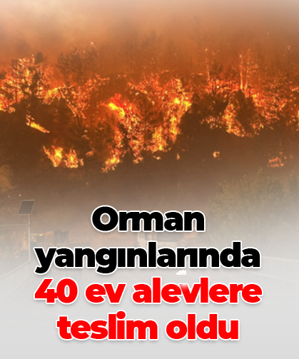 Orman yangınlarında 40 ev alevlere teslim oldu