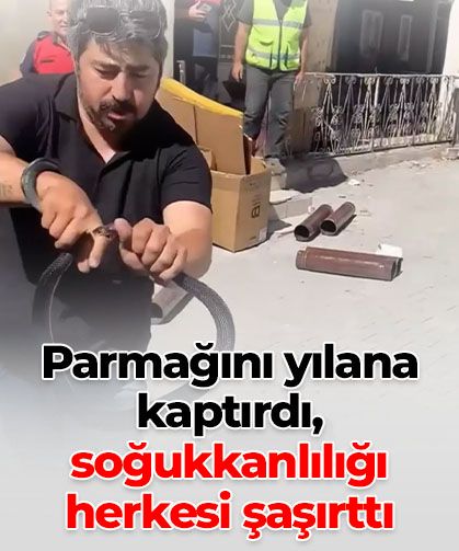 Parmağını yılana kaptırdı, “Bir şey olmaz” dedi: Soğukkanlılığıyla herkesi şaşırttı