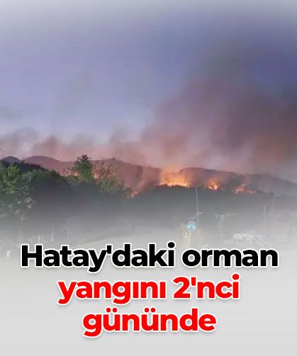 Hatay’daki orman yangını 2’nci gününde: 920 ev boşaltıldı
