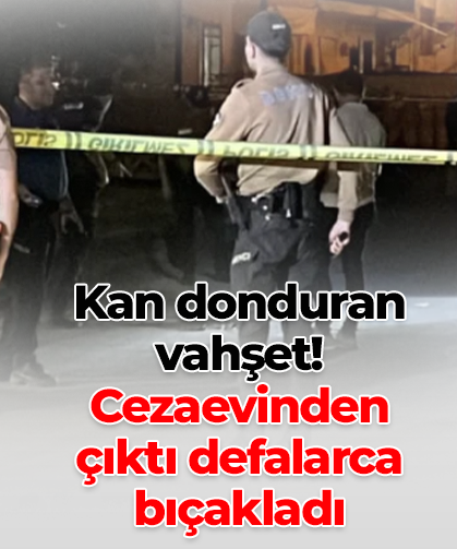 Kan donduran vahşet!  Cezaevinden  çıktı defalarca bıçakladı
