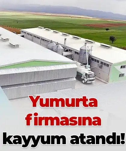 Yumurta firmasına, FETÖ soruşturması kapsamında kayyum atandı!
