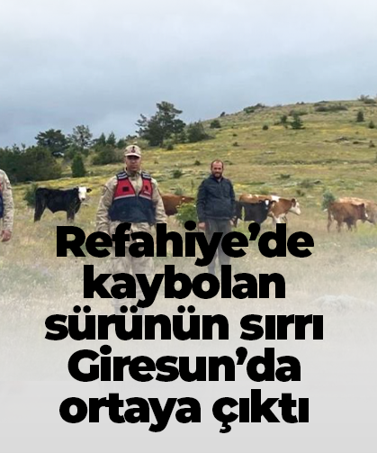 Refahiye’de kaybolan sürünün sırrı Giresun’da ortaya çıktı