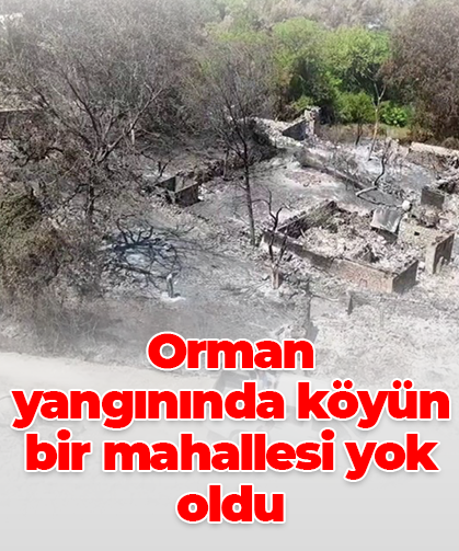 Orman yangınında köyün bir mahallesi yok oldu
