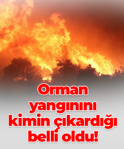 Orman yangınını kimin çıkardığı belli oldu!