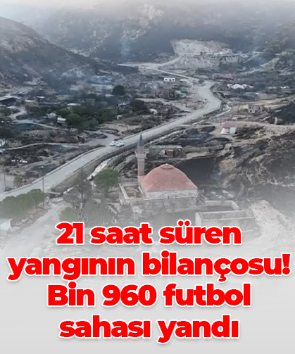 21 saat süren yangının bilançosu!  Bin 960 futbol sahası yandı