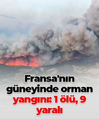 Fransa'nın güneyinde orman yangını: 1 ölü, 9 yaralı
