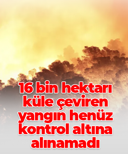16 bin hektarı küle çeviren yangın henüz kontrol altına alınamadı