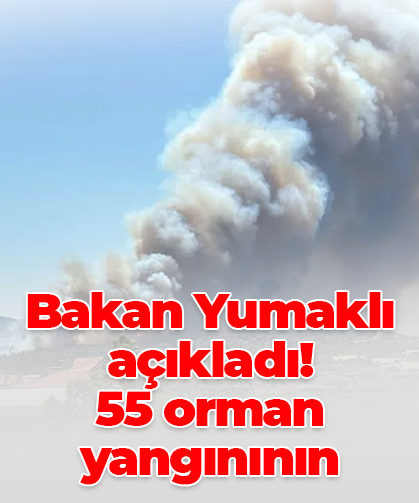Bakan Yumaklı açıkladı! 55 orman yangınının