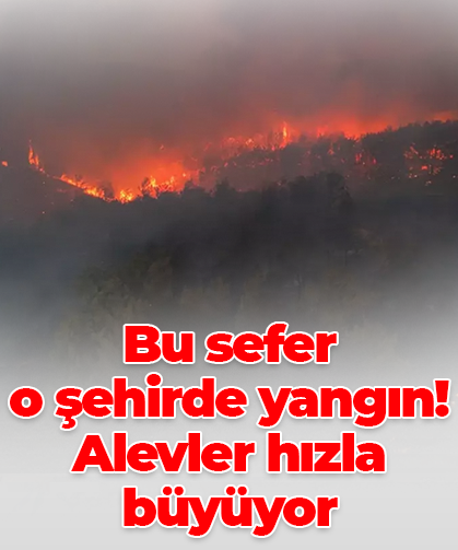 Bu sefer o şehirde yangın! Alevler hızla büyüyor