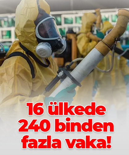 16 ülkede 240 binden fazla vaka