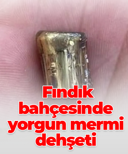 Fındık bahçesinde yorgun mermi dehşeti