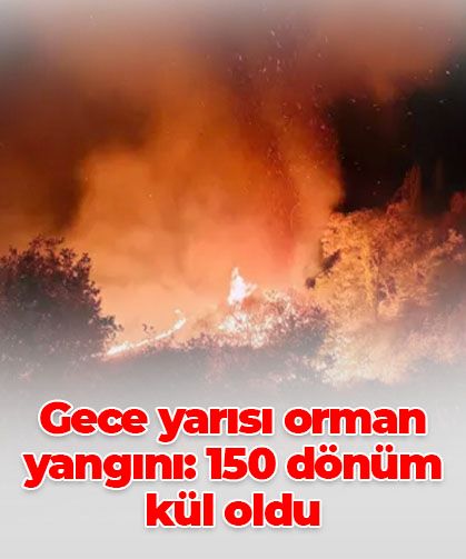 Adıyaman’da orman yangını: 150 dönüm alan zarar gördü