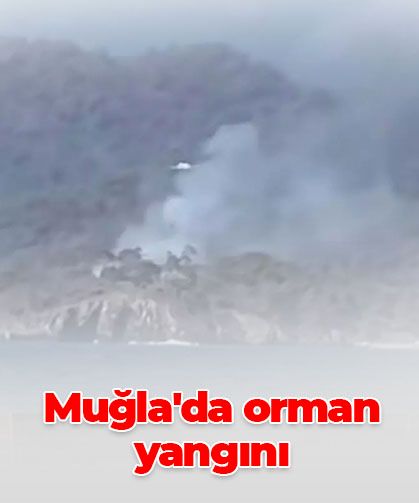 Muğla Fethiye’de orman yangını
