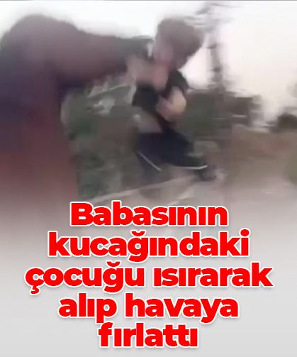 Antalya’da şok anlar: At, babasının kucağındaki 3 yaşındaki çocuğu ısırarak havaya fırlattı