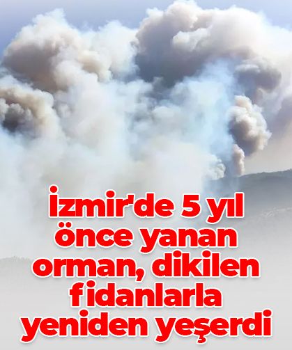 İzmir’de 5 yıl önce yanan orman, milyonlarca fidanla yeniden hayat buldu