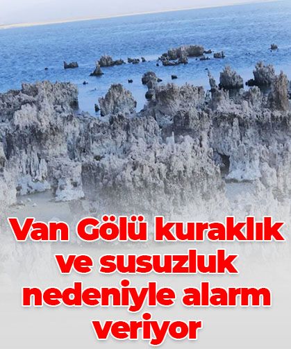 Van Gölü’nde kuraklık alarmı: Sular metrelerce çekildi