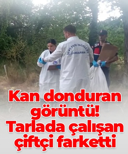 Kan donduran görüntü! Tarlada çalışa çiftçi farketti