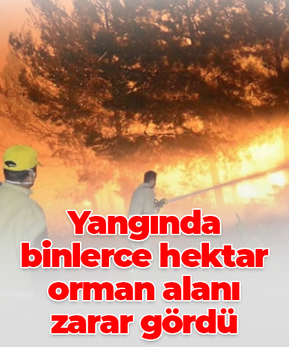 Yangında binlerce hektar orman alanı  zarar gördü