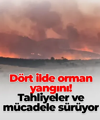 Dört ilde orman yangını! Tahliyeler ve mücadele sürüyor