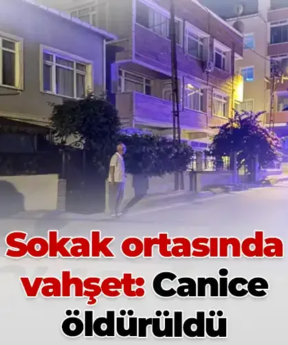 Sokak ortasında vahşet: Satırla boğazı kesilerek öldürüldü