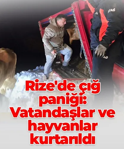 Rize'de çığ paniği: Vatandaşlar ve hayvanlar kurtarıldı