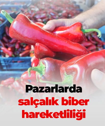 Pazarlarda salçalık biber hareketliliği