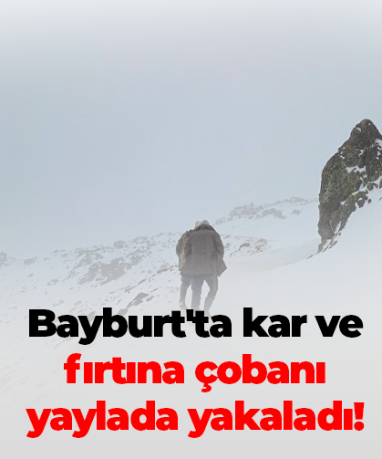 Bayburt'ta kar ve fırtına çobanı yaylada yakaladı: Sürüsüyle fırtınada mahsur kalan çoban kurtarıldı