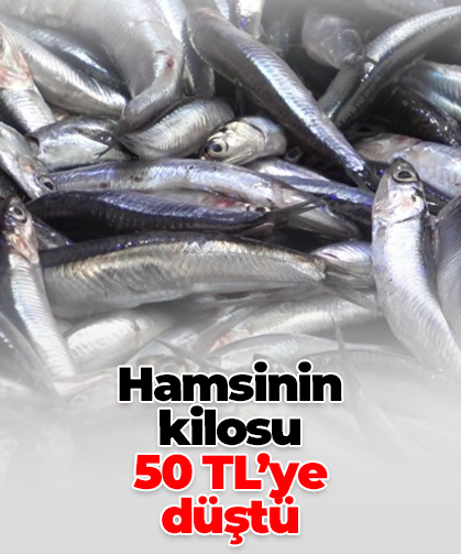 Hamsinin  kilosu  50 TL’ye  düştü