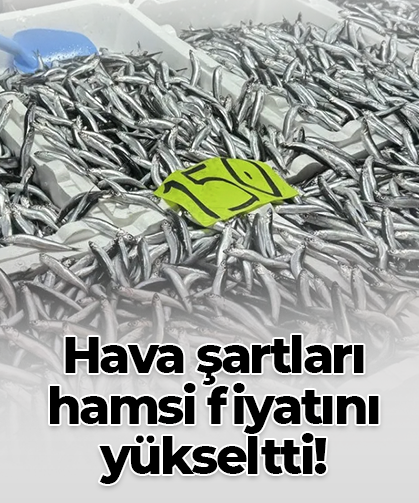 Hava şartları  hamsi fiyatını  yükseltti!
