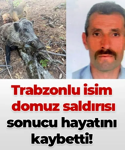 Trabzonlu isim domuz saldırısı sonucu hayatını kaybetti!