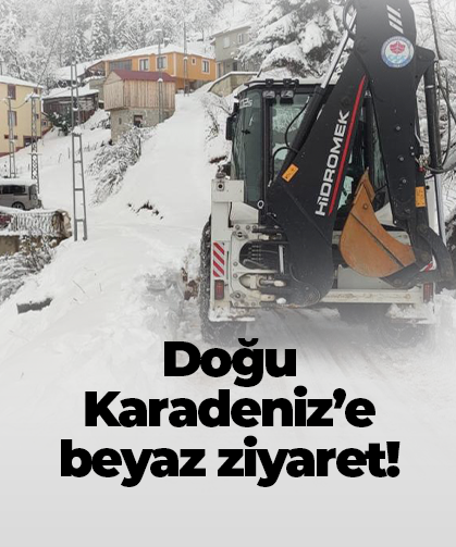 Doğu Karadeniz’e beyaz ziyaret!