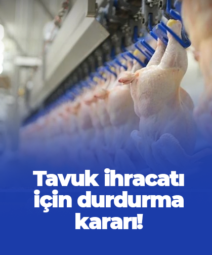 Tavuk ihracatı için durdurma kararı!