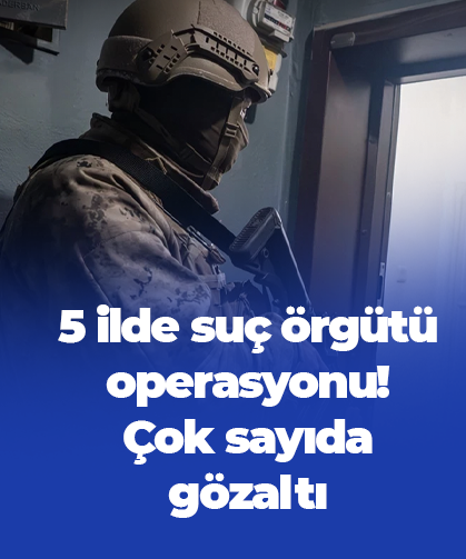 5 ilde suç örgütü operasyonu!