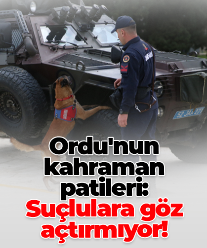 Ordu'nun kahraman  patileri: Suçlulara göz açtırmıyor!