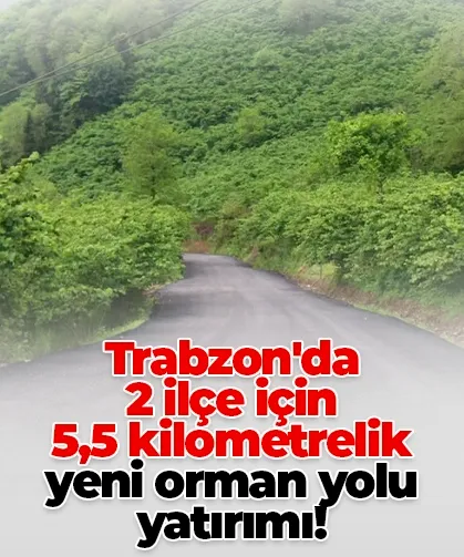 Trabzon'da 2 ilçe için 5,5 kilometrelik yeni orman yolu yatırımı!