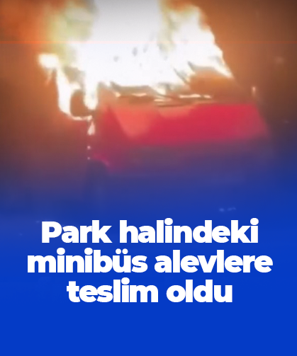 Park halindeki minibüs alevlere teslim oldu