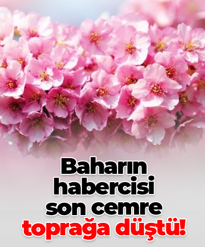 Baharın habercisi son cemre toprağa düştü!