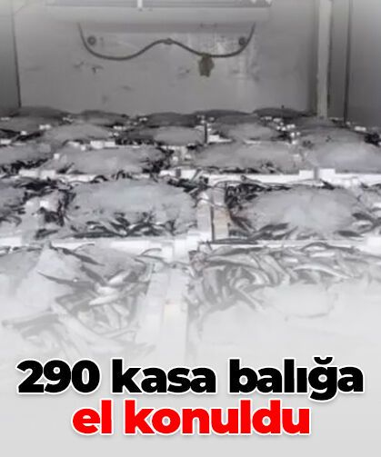 Nakil belgesi olmayan araçta 290 kasa balığa el konuldu