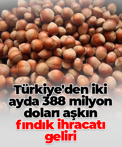 Türkiye'den iki ayda 388 milyon doları aşkın fındık ihracatı geliri
