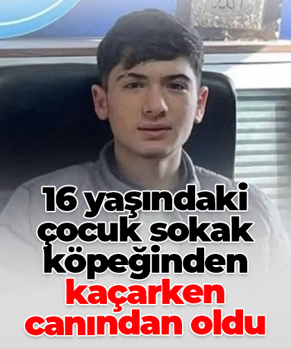16 yaşındaki çocuk sokak köpeğinden kaçarken canından oldu