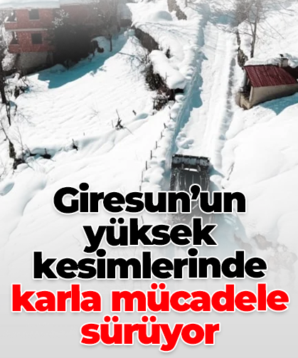 Giresun’un yüksek kesimlerinde karla mücadele sürüyor