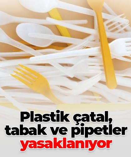 Plastik çatal, tabak ve pipetler yasaklanıyor