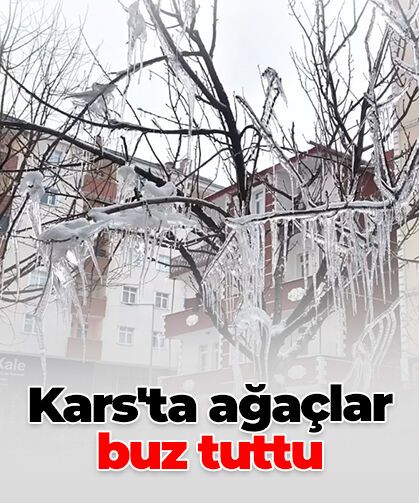 Kars’ta dondurucu soğuk: Ağaç dallarında buz sarkıtları oluştu